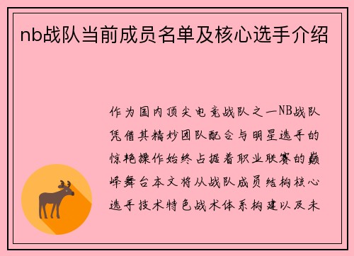 nb战队当前成员名单及核心选手介绍